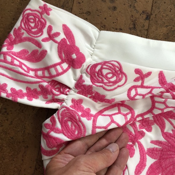 Foxiedox by Anthropologie dress - Picture 14 of 17